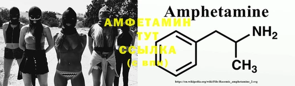 дмт Алзамай