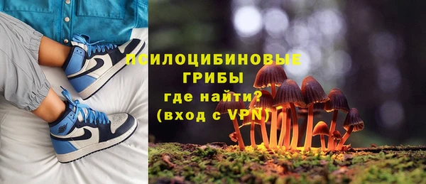 прущие грибы Грязи