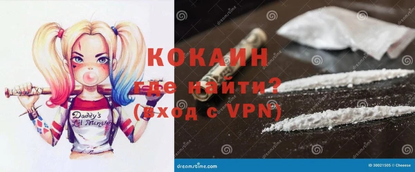 дмт Алзамай