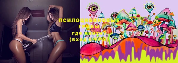 дмт Алзамай